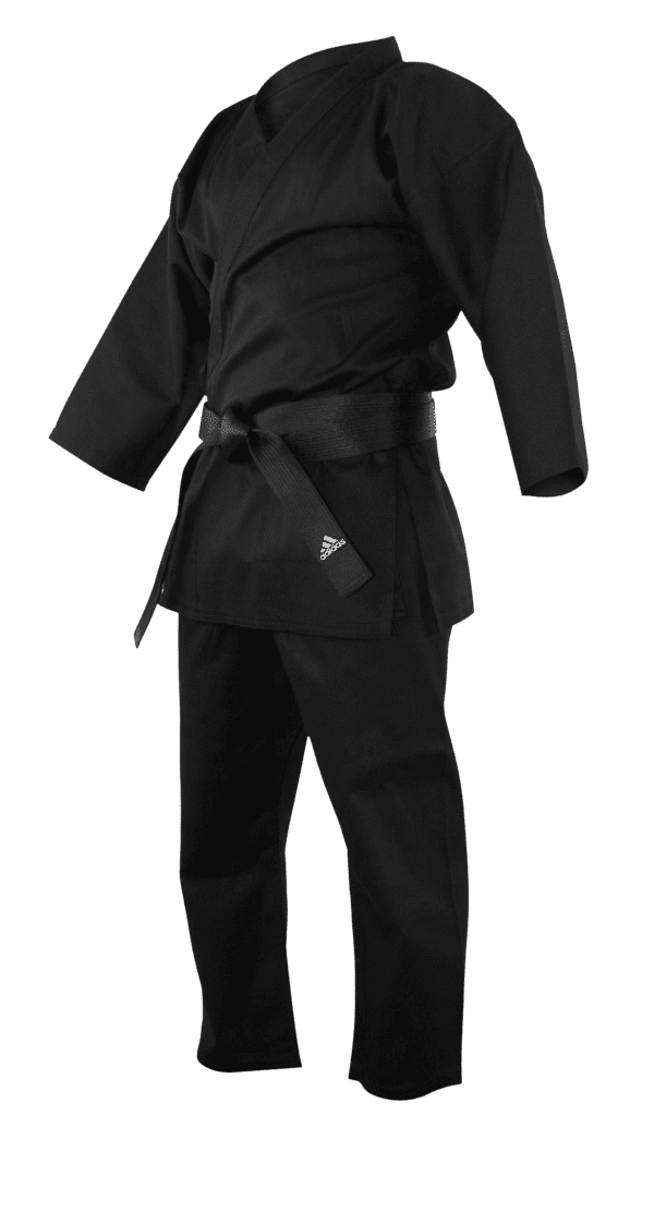 KARATE BUSHIDO N°287 2001 02 - JC Van Damme - Seido Kaikan - Cui Rui Bin - Boxe EUR 9,90 - FR